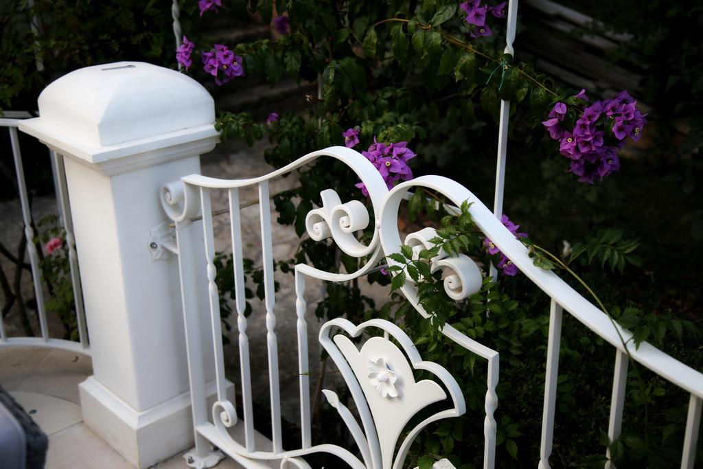 Villa Angelina 塞尔瓦·迪·法萨诺 外观 照片